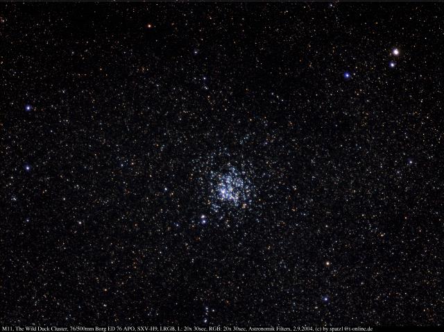 Wild Duck Cluster