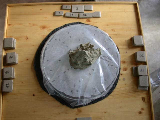 Fliesenkleber marsch